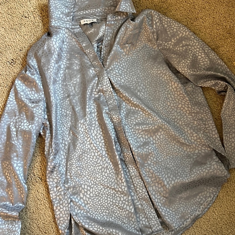 Vici Blue Silk Blouse